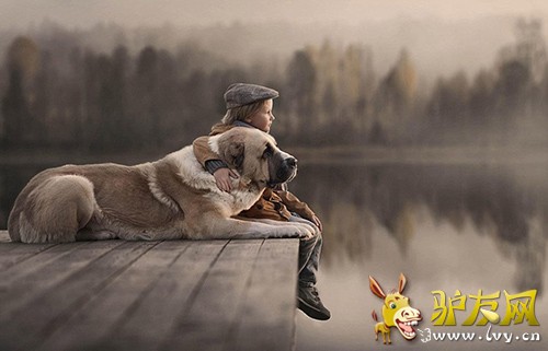 һ��С�к��������ĳ��ﹷ���ں�������Զ����