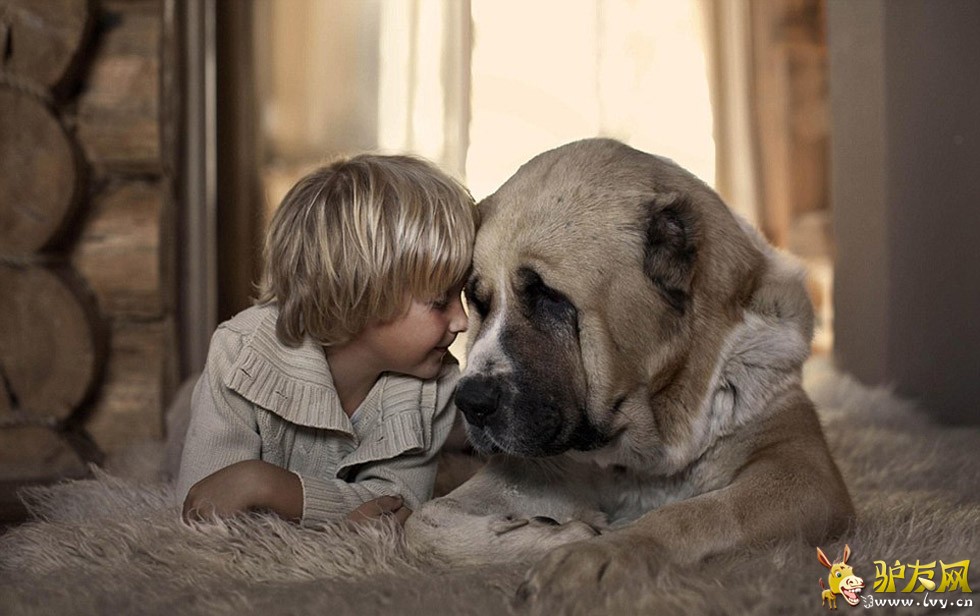 һ��С�к��������ĳ��ﹷ���ں�������Զ������ҳ��ͼ