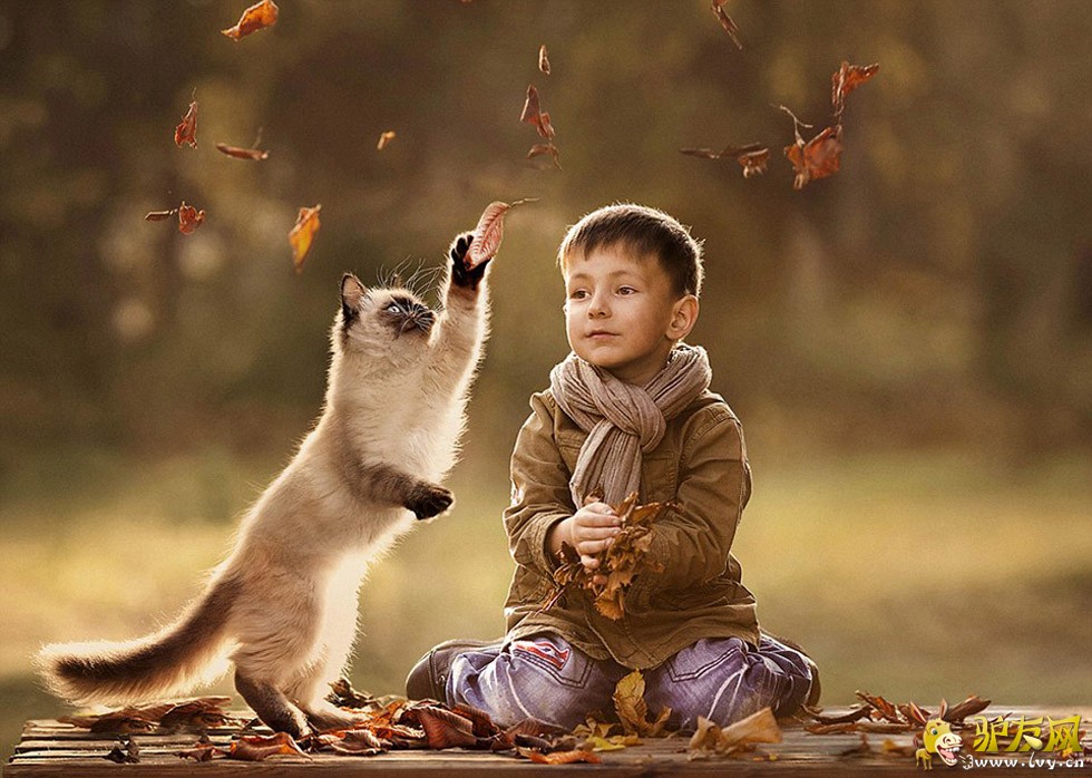 һ��С�к��������ĳ��ﹷ���ں�������Զ������ҳ��ͼ