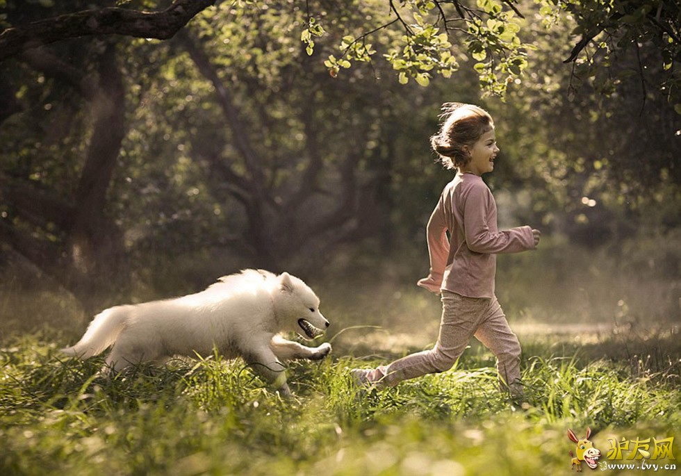 һ��С�к��������ĳ��ﹷ���ں�������Զ������ҳ��ͼ