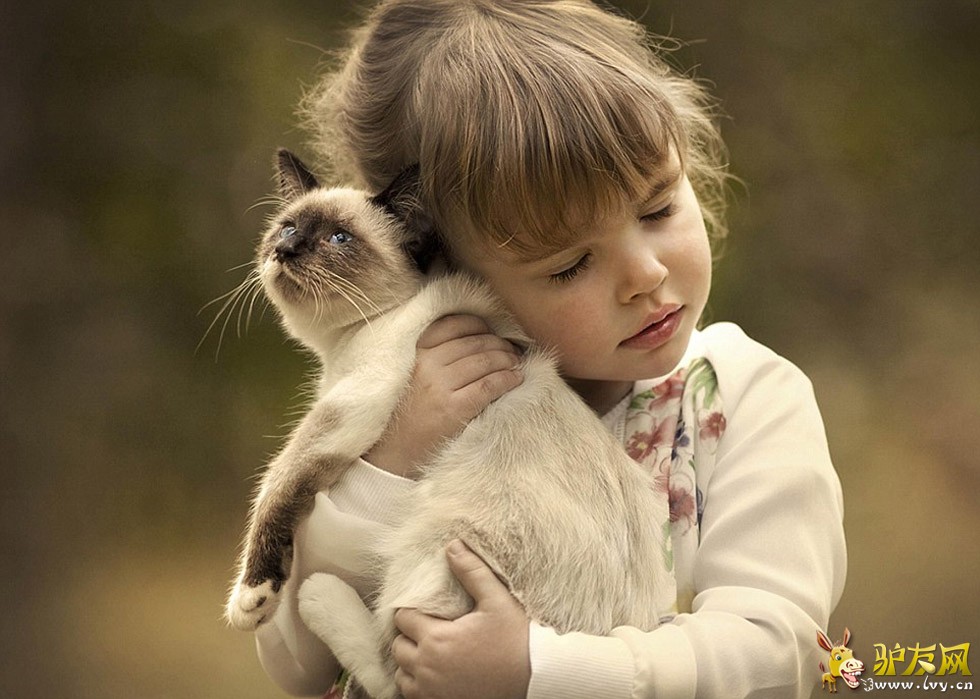 һ��С�к��������ĳ��ﹷ���ں�������Զ������ҳ��ͼ