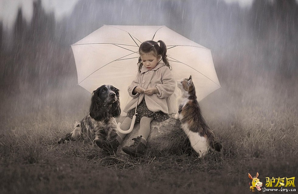 һ��С�к��������ĳ��ﹷ���ں�������Զ������ҳ��ͼ