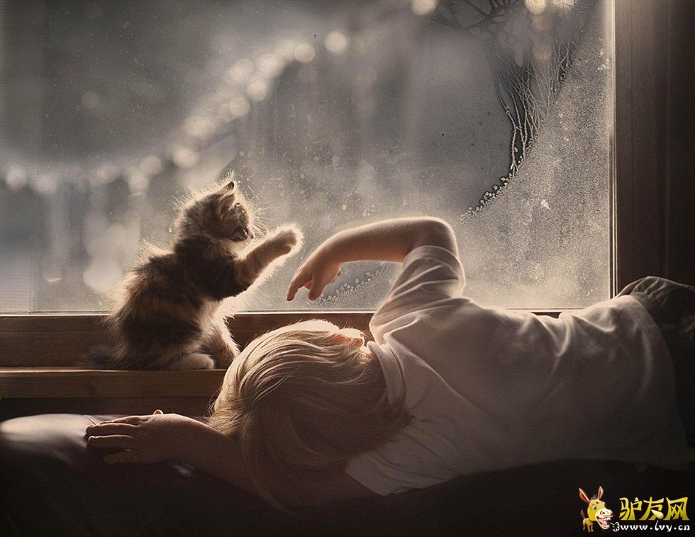 һ��С�к��������ĳ��ﹷ���ں�������Զ������ҳ��ͼ