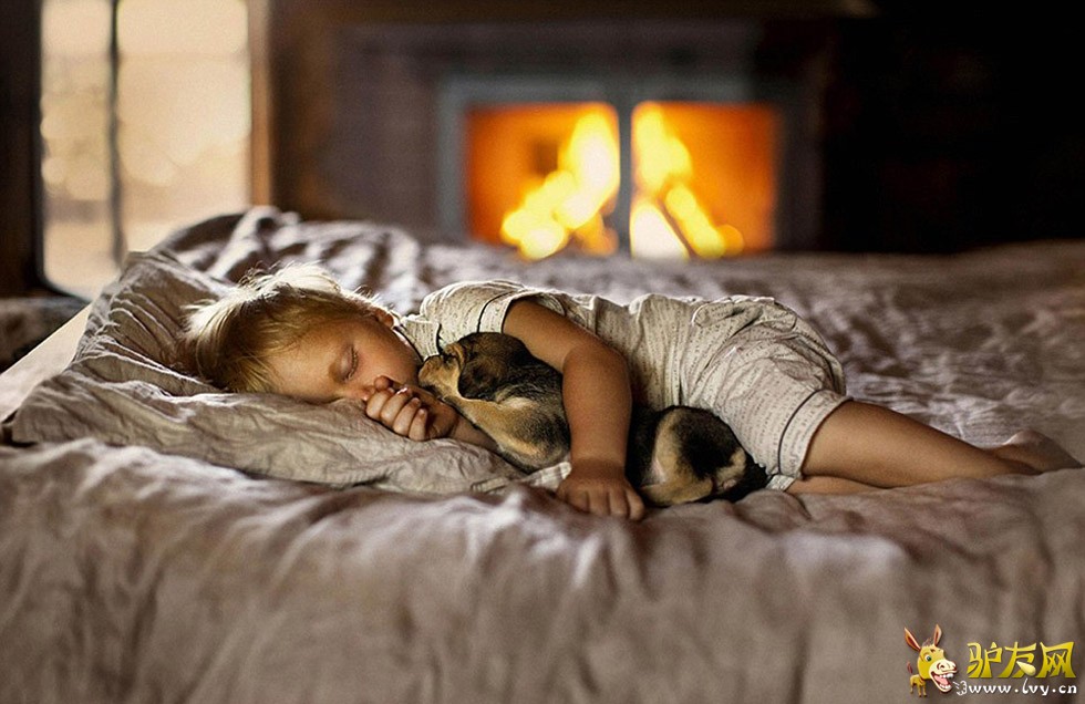 һ��С�к��������ĳ��ﹷ���ں�������Զ������ҳ��ͼ