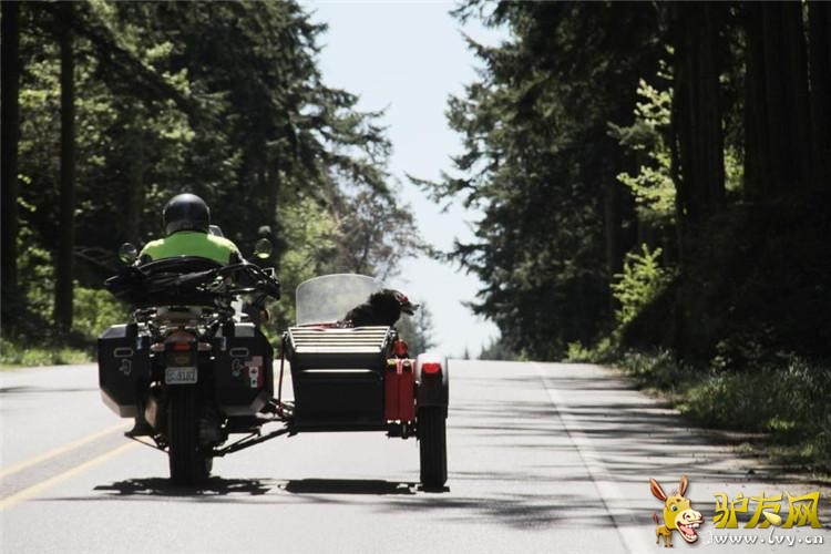 ���ſᡰ������������Ȯ��ī����Ħ�г�������(������ͼ)