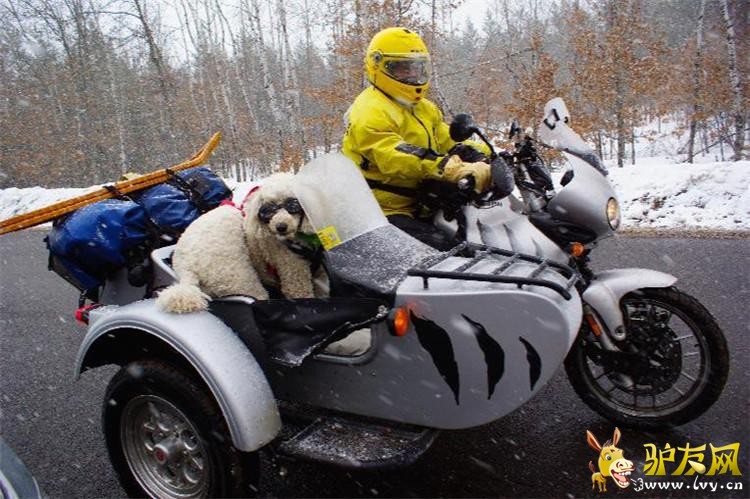 ���ſᡰ������������Ȯ��ī����Ħ�г�������(������ͼ)