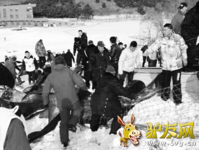 7��11ʱ�������������������»�ѩ�������豸���ֹ��ϣ����˵��οͱ�����ҽԺ���ơ����ѹ�ͼ