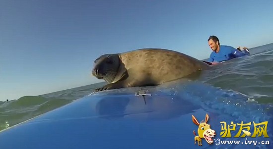 һͷ���С�You���ĺ��������׽������ߣ�����ռ�˳��˰壬���ڰ��ϲ�Ը�뿪��