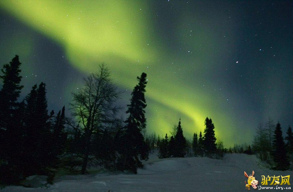 �ο��ڼ��ô�Tundra Lodge Rolling���ƶ��ùݡ����뱱���ܽ�����Ӵ���