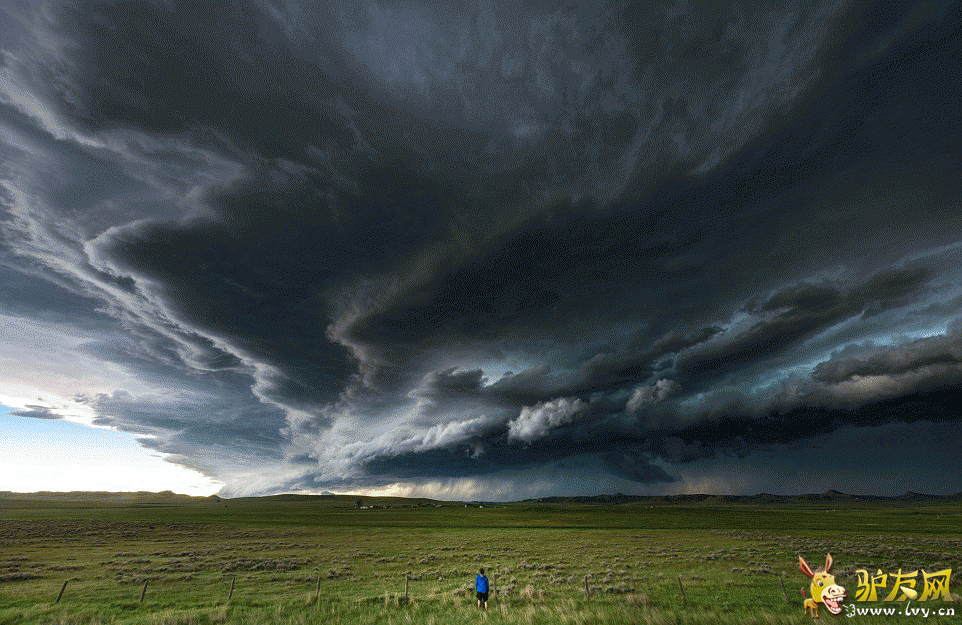 Ī����������ÿ���˹�ݵ���ץ�ĵ��������׵���Ƭ����ҳ��ͼ