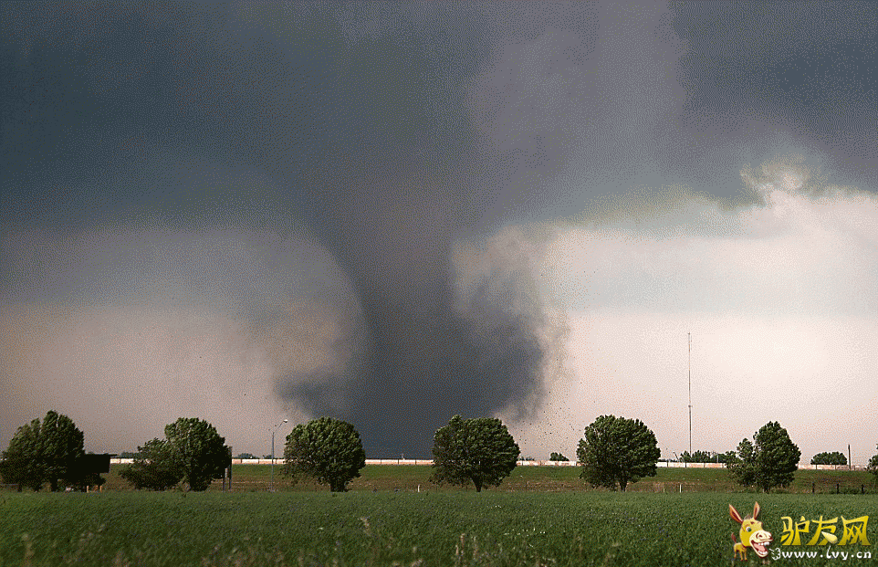 Ī����������ÿ���˹�ݵ���ץ�ĵ��������׵���Ƭ����ҳ��ͼ