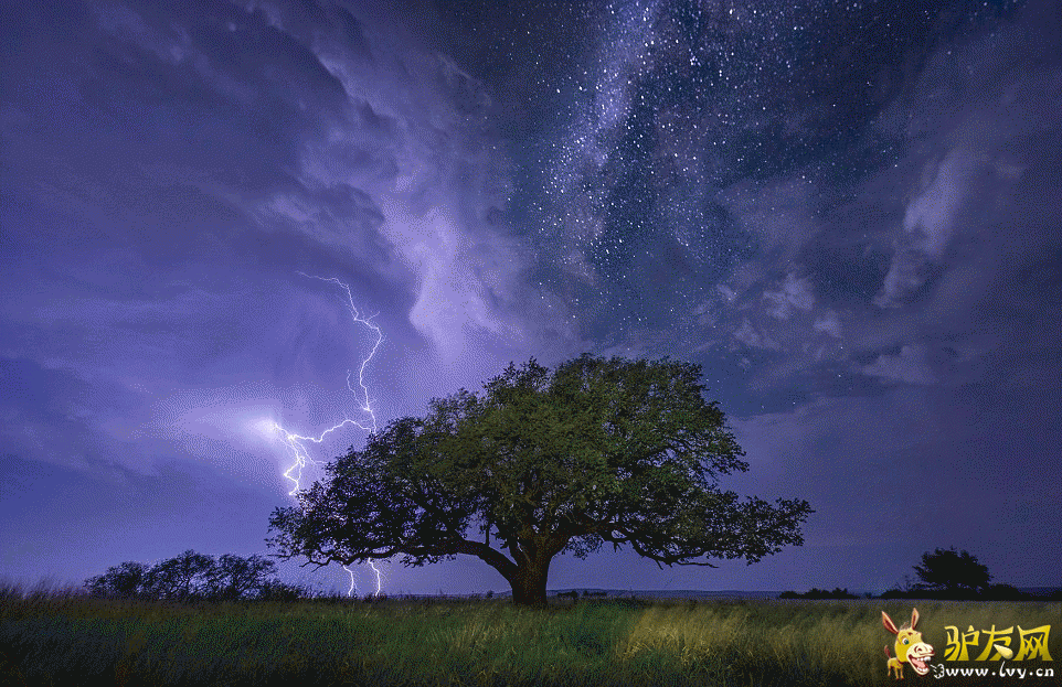 Ī����������ÿ���˹�ݵ���ץ�ĵ��������׵���Ƭ����ҳ��ͼ