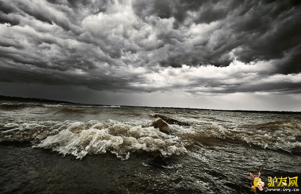 Ī����������ÿ���˹�ݵ���ץ�ĵ��������׵���Ƭ����ҳ��ͼ