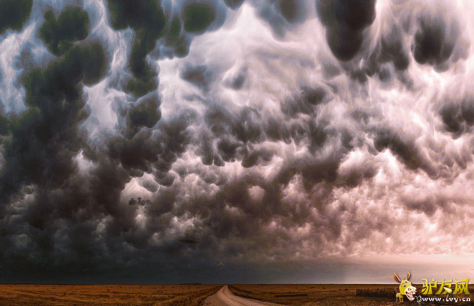 Ī����������ÿ���˹�ݵ���ץ�ĵ��������׵���Ƭ����ҳ��ͼ