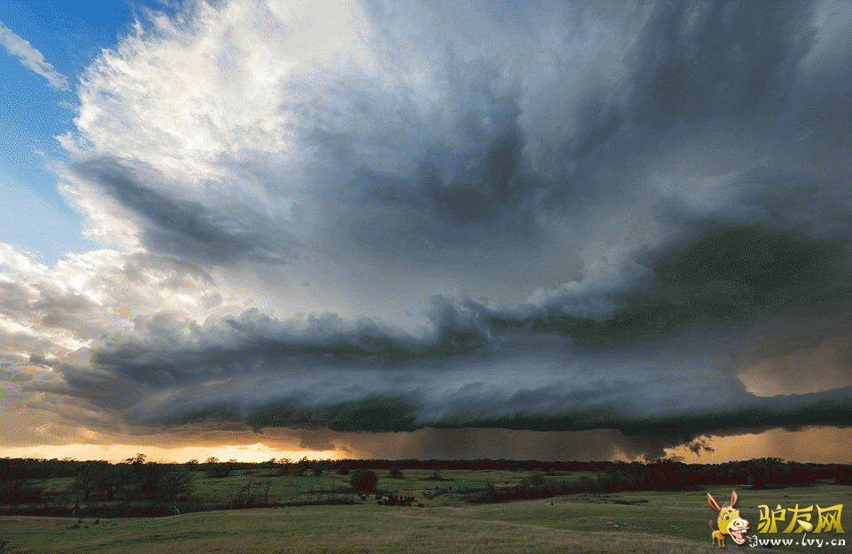 Ī����������ÿ���˹�ݵ���ץ�ĵ��������׵���Ƭ����ҳ��ͼ