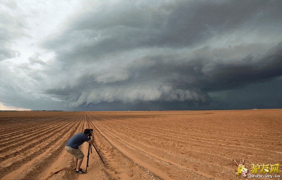 Ī����������ÿ���˹�ݵ���ץ�ĵ��������׵���Ƭ����ҳ��ͼ