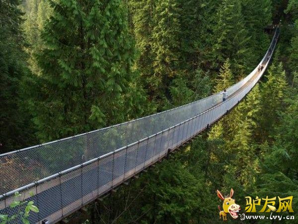 ���������˵�ʮ������ ��ҡ����ء���