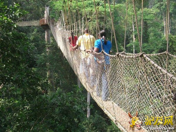 ���������˵�ʮ������ ��ҡ����ء���