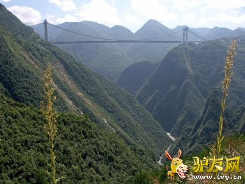 ���������˵�ʮ������ ��ҡ����ء���