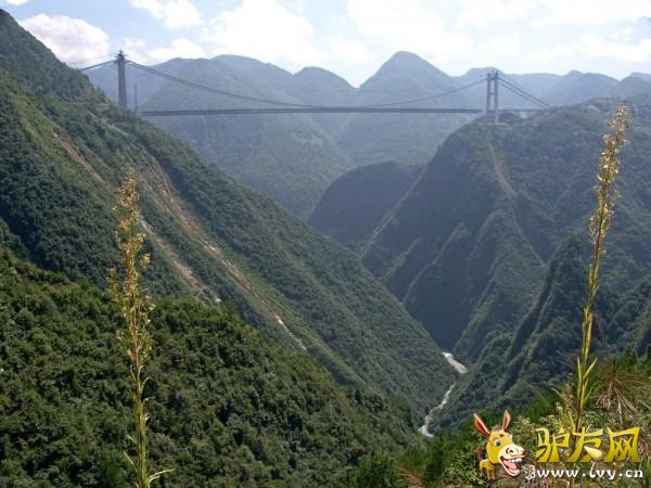 ���������˵�ʮ������ ��ҡ����ء���