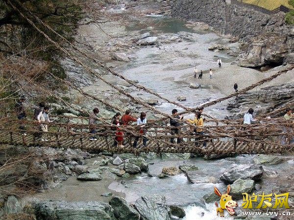 ���������˵�ʮ������ ��ҡ����ء���