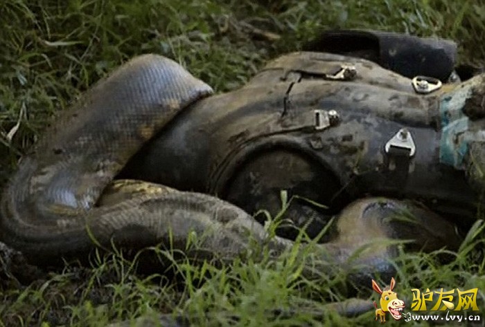 ������ר�����鱻ˮ������ ����ˮ���ڲ��ṹ(��ͼ)