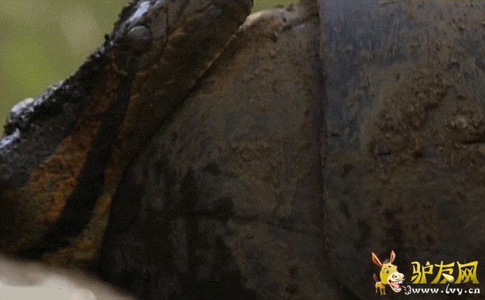 ������ר�����鱻ˮ������ ����ˮ���ڲ��ṹ(��ͼ)