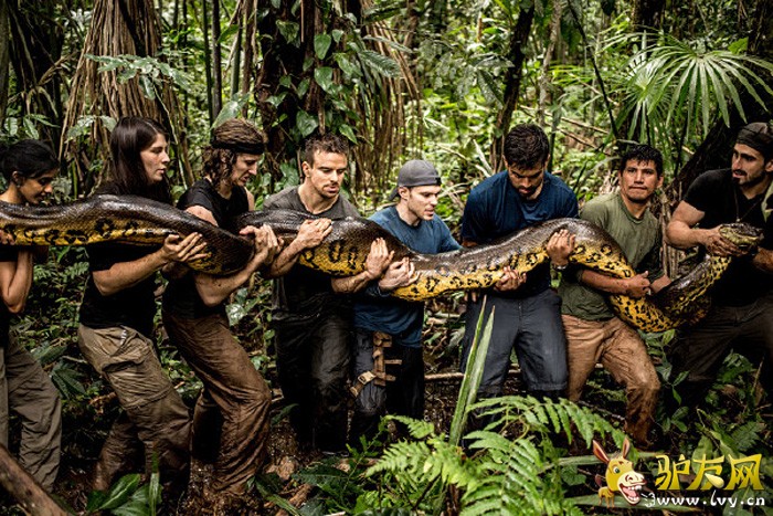 ������ר�����鱻ˮ������ ����ˮ���ڲ��ṹ(��ͼ)