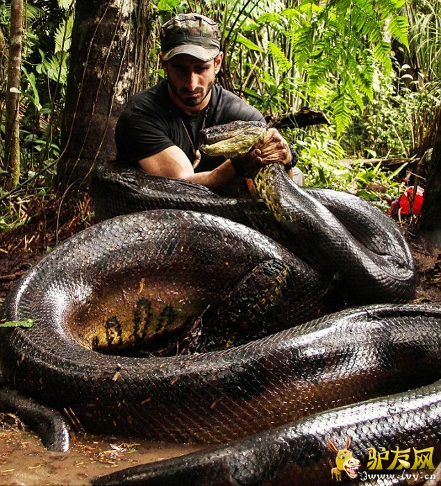 ������ר�����鱻ˮ������ ����ˮ���ڲ��ṹ(��ͼ)