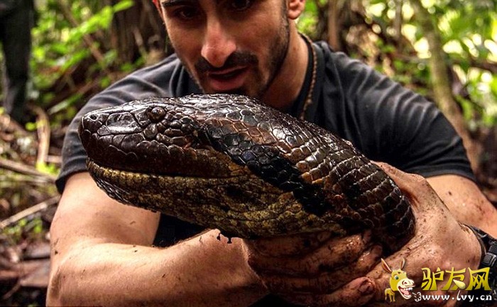 ������ר�����鱻ˮ������ ����ˮ���ڲ��ṹ(��ͼ)