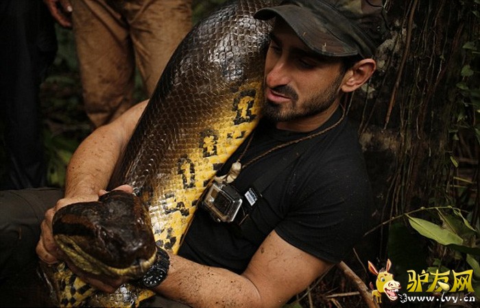 ������ר�����鱻ˮ������ ����ˮ���ڲ��ṹ(��ͼ)