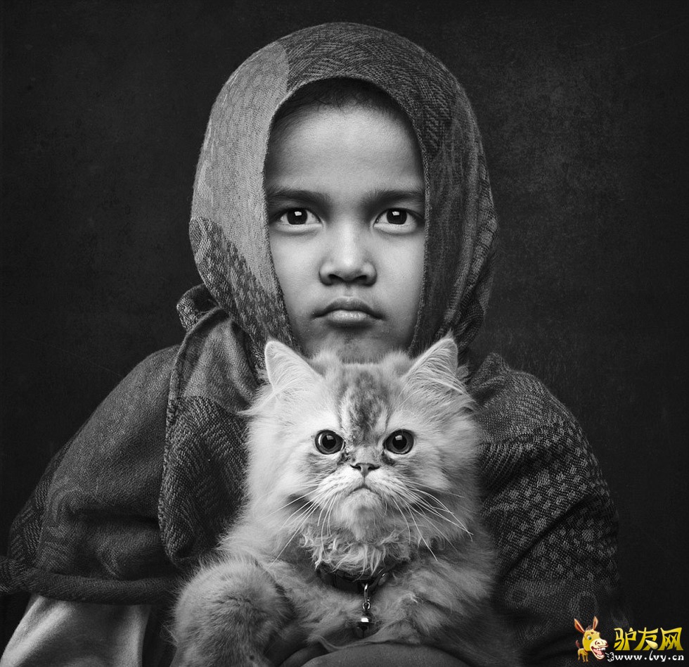 ��Ӱʦ����³����Լŵ�ڰ��嵺���㵽���ž�����Ƭ��һֻ������ʹ���㽶ҶΪ�Լ����ꡣ