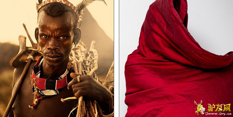 ��Ӱʦ����³����Լŵ�ڰ��嵺���㵽���ž�����Ƭ��һֻ������ʹ���㽶ҶΪ�Լ����ꡣ