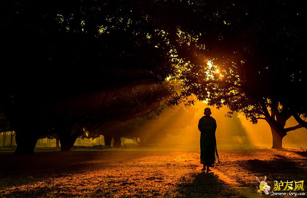 ��Ӱʦ����³����Լŵ�ڰ��嵺���㵽���ž�����Ƭ��һֻ������ʹ���㽶ҶΪ�Լ����ꡣ