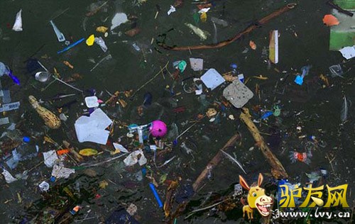 ��ѧ�ҹ��ƣ�ȫ������Ư����������������5���ڿ飬��������26.9��֡�