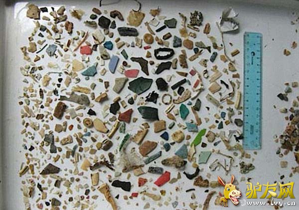 ��ѧ�ҹ��ƣ�ȫ������Ư����������������5���ڿ飬��������26.9��֡�