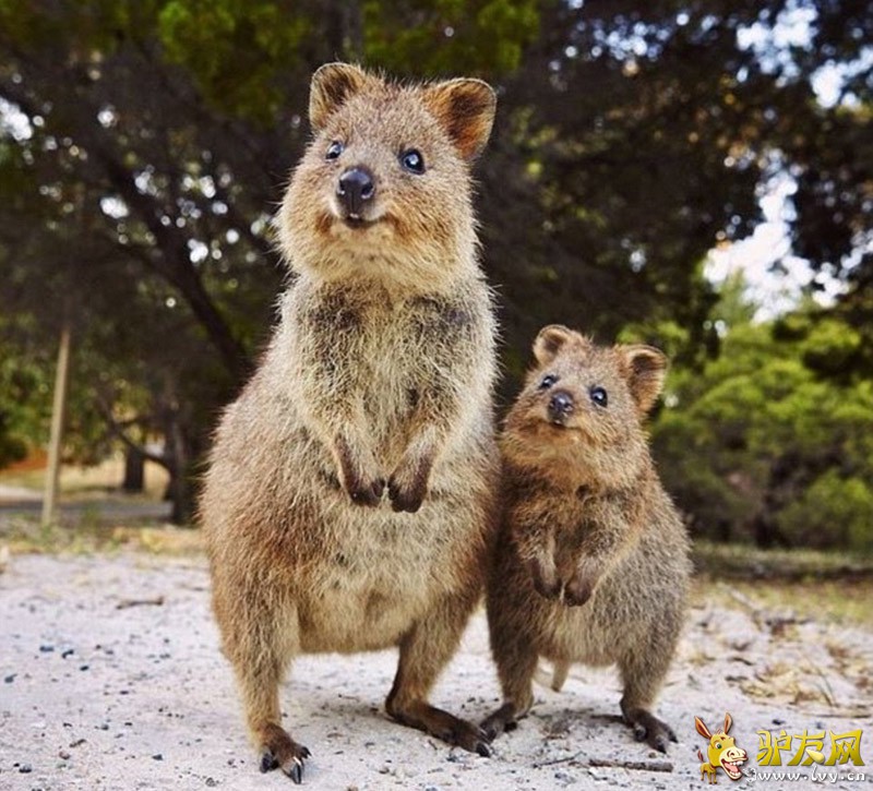 ������������ֵĶ����β�����󣬽��������ĵ�һЩ���ϡ���ҳ��ͼ