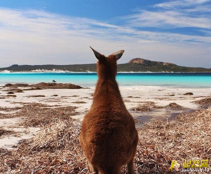 ������������ֵĶ����β�����󣬽��������ĵ�һЩ���ϡ���ҳ��ͼ