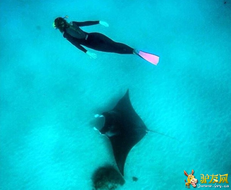 ������������ֵĶ����β�����󣬽��������ĵ�һЩ���ϡ���ҳ��ͼ