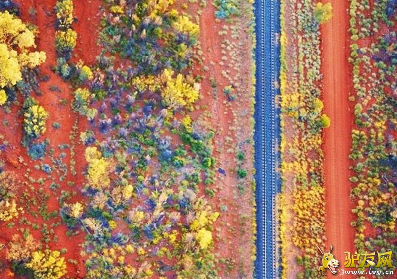 ������������ֵĶ����β�����󣬽��������ĵ�һЩ���ϡ���ҳ��ͼ