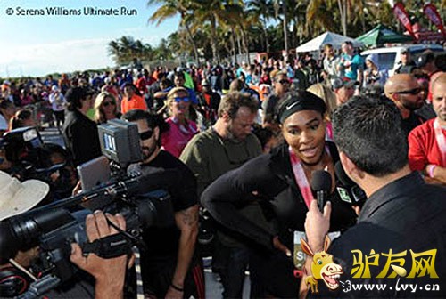 WTA���Ĺ���