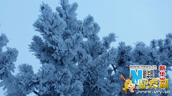 �ڶ�ʮ���й����ֹ�����ڡ��ѩ��������ɻ����ȼٴ忪Ļ