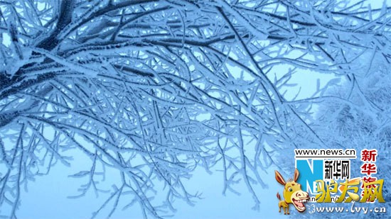 �ڶ�ʮ���й����ֹ�����ڡ��ѩ��������ɻ����ȼٴ忪Ļ