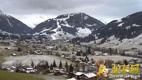 ŷ�޽���ӭ��ů�������½�ѩ�����Բ��㡣