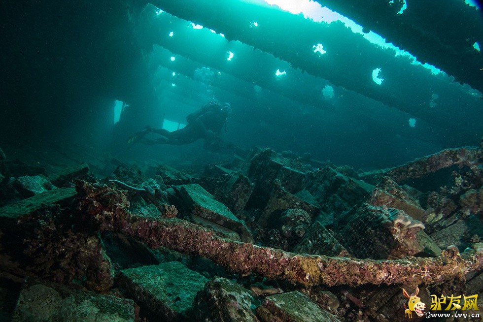 ��������ں캣Ǳˮʱץ�ĵ�����׳��������������ֻ�ſ������ʨ���㡣