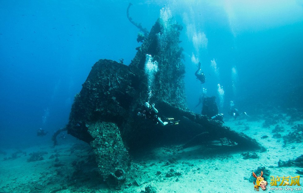 ��������ں캣Ǳˮʱץ�ĵ�����׳��������������ֻ�ſ������ʨ���㡣