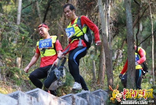 ѡ�ֽ������ �·� ��