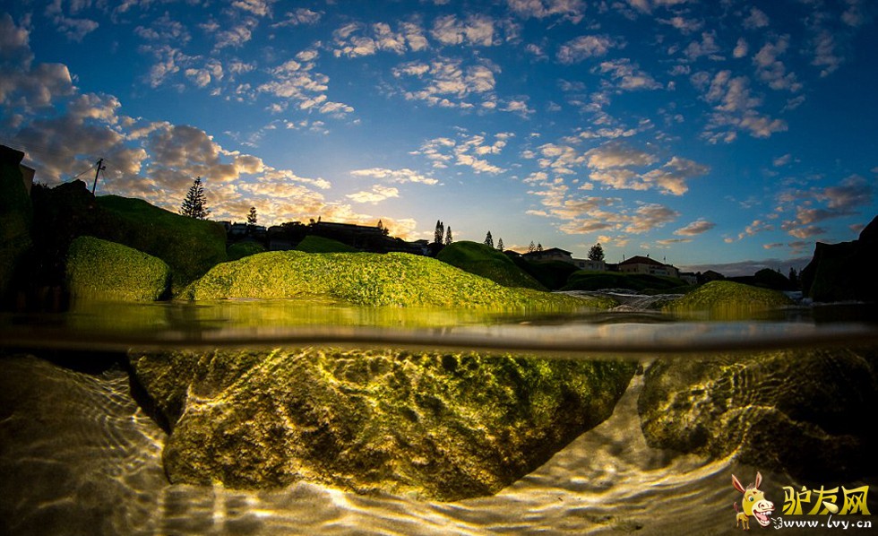 һ�����罫����������̲������������ճ�����ѹ��������ҳ��ͼ