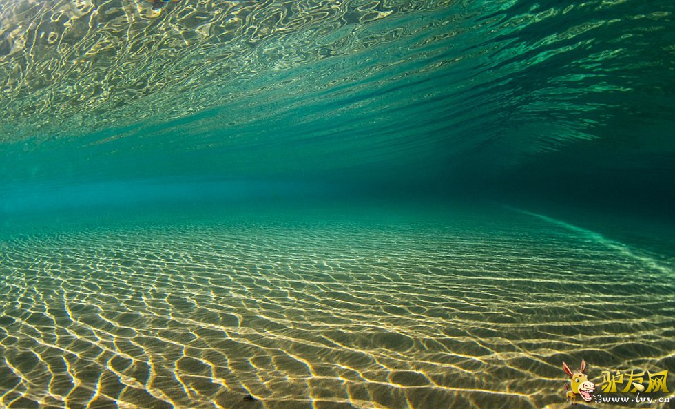 һ�����罫����������̲������������ճ�����ѹ��������ҳ��ͼ