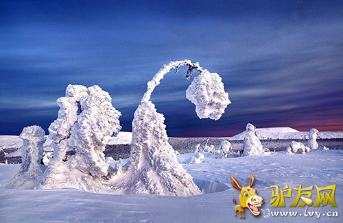 ��Ӱʦл���ǡ�������ڶ��������㵽��ñ�ѩ������